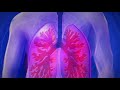 कितनी देर तक आप साँस को रोक सकते है lungs dungs problem dungs deases