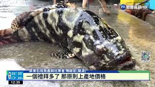 中國禁石斑魚 產地價\