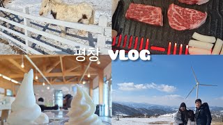 강원도 평창 VLOG #브이로그 #강원도 #평창 #한화리조트 #대관령한우 #하늘목장