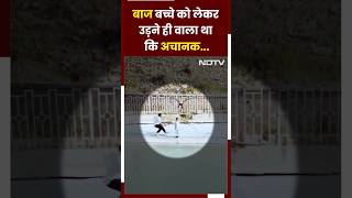 Eagle Attack Video: बाज बच्चे को लेकर उड़ने ही वाला था कि अचानक पिता ने बचा ली जान | Viral Video