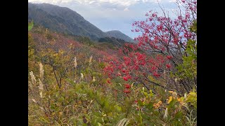 大佐渡スカイライン。日曜日午後、大佐渡スカイラインへ、もうすっかり秋ですね！山の木もきれいに色づいた。白雲台に着いた時、気温4℃、風が強くて震えるほど寒かった！雲が流れていて、時々晴れて、絶景ですね♪