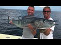 how to rig live bonita for trolling for wahoo