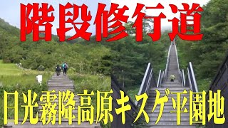 天空回廊 階段修行・1,445段を一気に上る＠栃木県・日光霧降高原キスゲ平