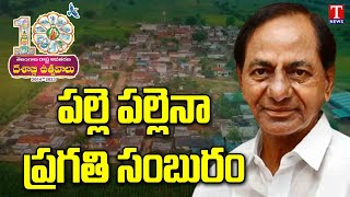 Special Report on Pallepragathi Programme Villages Development Under CM KCR Regime | T News