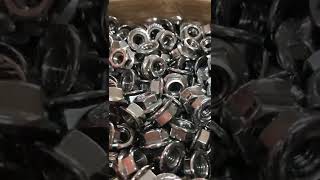 Stainless Steel Serrated Hex Flange Nuts