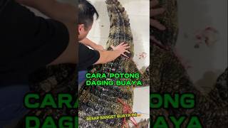 Cara potong daging buaya #carapotong