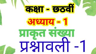 प्राकृत संख्या 💠कक्षा छठवी 💠प्रश्नावली - 1💠class 6th 💠maths