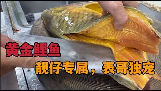 黄金鲤鱼，靓仔专属，表哥独宠