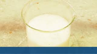 Ever wondered how Harmac Kraft pulp is made?