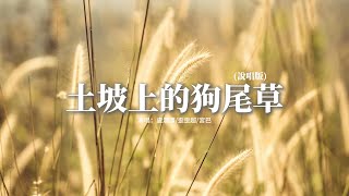 盧潤澤/歪歪超/宮巴 - 土坡上的狗尾草 (說唱版) 『土坡上狗尾巴草搖啊，搖得人眼淚掉，你那頭月亮照不照得到，唱首狗兒的歌謠，我的小黃你卻已聽不到。』【動態歌詞MV】