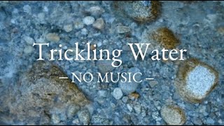 -3 Hours of Trickling Water Sounds with NO MUSIC.