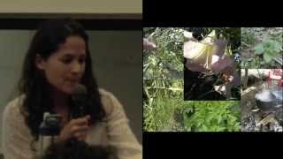 AYA2014 - Celina M. De Leon. The New Frontier of Ayahuasca Healing Centers