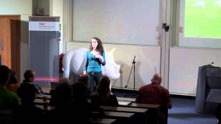 Systems Aikido: A philosophy for engineering complex systems: Alex Penn at TEDxSouthamptonUniversity