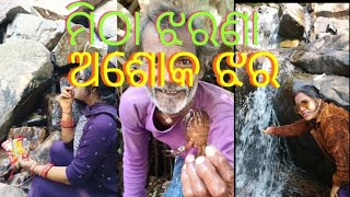 Ashok Jhar🥰 Picnic Spot near Jajpur., #trending #viralvideo