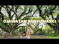 HUTAN DJAWATAN BENCULUK, WISATA DI BANYUWANGI - millayarou vlog