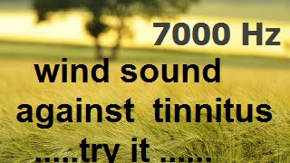 One hour wind at 7000 Hz as sound therapy for tinnitus