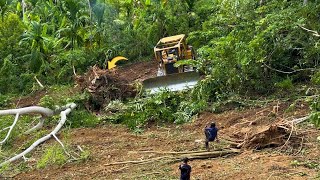 5-Minute Land Clearing Hack with the D6R XL Engine!