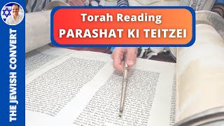 PARASHAT KI TEITZEI | Weekly Torah Reading in Hebrew \u0026 English Translation | TORAH STUDY