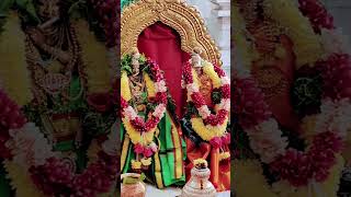 శ్రీ గోదా రంగనాథుల కళ్యాణo #godadevi#festival#festivevibes#trending#ytshorts#kalyanam#devotional