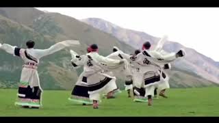 Tibetan Driru dance ནགས་ཤོད་འབྲི་རུའི་ཞབས་བྲོ། བཀྲ་ཤིས་མཇུག་བྲོ།kalsangchoephel#gorshey#dance