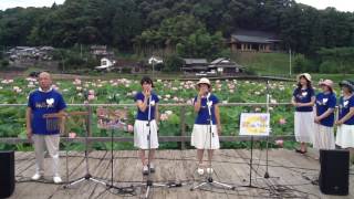 臼杵石仏の里 「蓮まつり」 ②