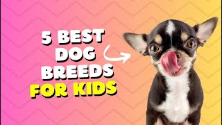 Top 5 Dog Breeds Perfect for Kids! 🧒