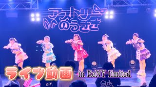 アストリーのうさぎ　ライブ動画