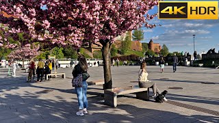 🇵🇱 Poland Spring Walk - 2023 | Krakow Walking Tour | European Spring [4K HDR]