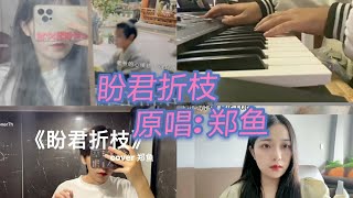 抖音翻唱合集-盼君折枝 原唱: 郑鱼 昨夜寒风明月亏 难入睡, 吹不散离别的泪,秋迎风一字南飞,谁能生死不弃来相随 tiktok