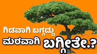 ಗಿಡವಾಗಿ ಬಗ್ಗದ್ದು ಮರವಾಗಿ ಬಗ್ಗೀತೇ.? | ಕನ್ನಡ ಗಾದೆ ಮಾತುಗಳು | useful information in kannada