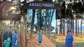 Famous Tourist place in Araku @ ARAKU PINERY #wood#tourism#araku#vizag#arakuvalley#nature#tree#video