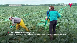 Минсельхоз России утвердил новый план льготного кредитования