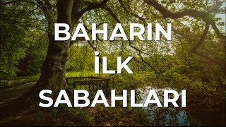 Baharın İlk Sabahları /Orhan Veli Kanık