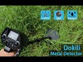 Metal detector gold