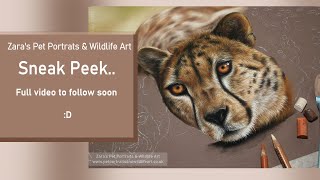 Cheetah in Pastels | Work in progress