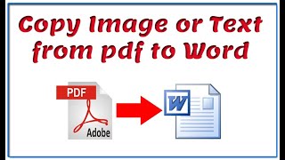 Copy Image or Text from pdf to Word