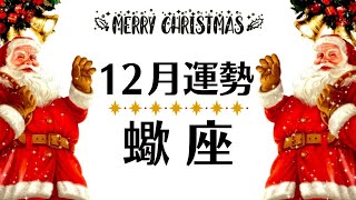 蠍座、夜が明けるような大変化─１２月全体運勢♏️仕事恋愛対人不安解消・評価や印象【個人鑑定級タロットヒーリング】