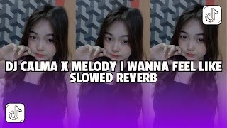 DJ CALMA X MELODY I WANNA FEEL LIKE - SLOWED VIRAL TIKTOK