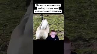 Японец превратился в собаку 🐶 #shorts