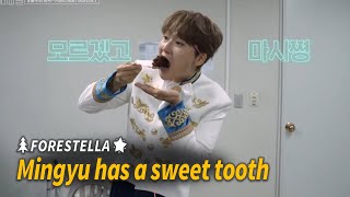 Forestella Mingyu has a sweet tooth | 포레스텔라 조민규