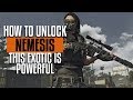 The Division 2 | Exotic Nemesis Sniper Guide | This Thing is Powerful