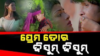 ସହରି ଝିଅଙ୍କ ପ୍ରେମ ଢିସୁମ୍ ଢିସୁମ୍ #dumanitv