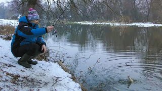 Winter Spinning in December. Predator Bites!