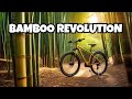 10 Incredible Reasons Why Bamboo is a Game Changer #Bamboo #GameChanger  #SustainableLiving #money