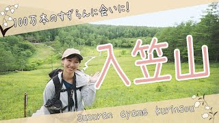 【南アルプス登山】山ガールが入笠山に高山植物を見に行った！！