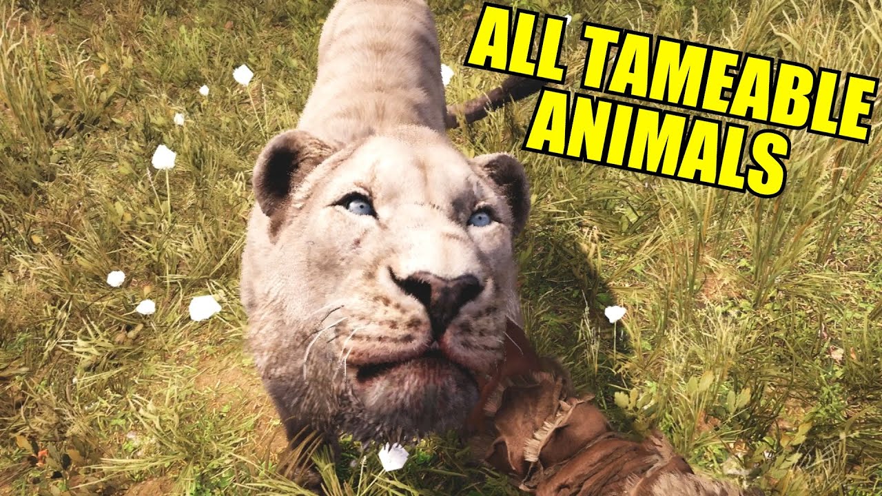 Far Cry 2 Animals Picascse
