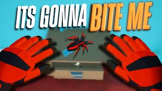 Spiders are WAY SCARIER VR... | Kill it With Fire VR