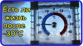 Ударил мороз -30°С...