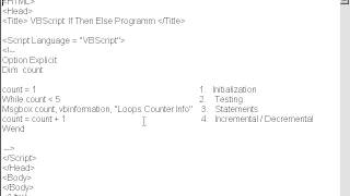 what is while loop - VBScript