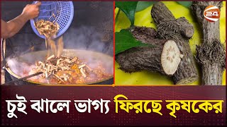 চুই ঝাল চাষে আগ্রহ বেড়েছে কৃষক ও ব্যবসায়ীদের | Chui Jhal | Channel 24